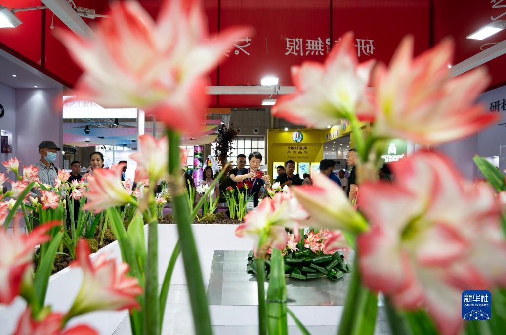 游戏新普京网址